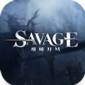 SAVAGE M中文版