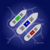 Naval Battle Mini Legion Fleet Commander Game