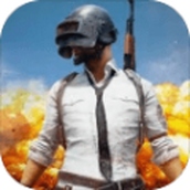 pubgblackpink国际服手游