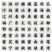 Chinese Characters Find Differences Wang Xiao’s Guide to Clearing Fruits from Various Countries