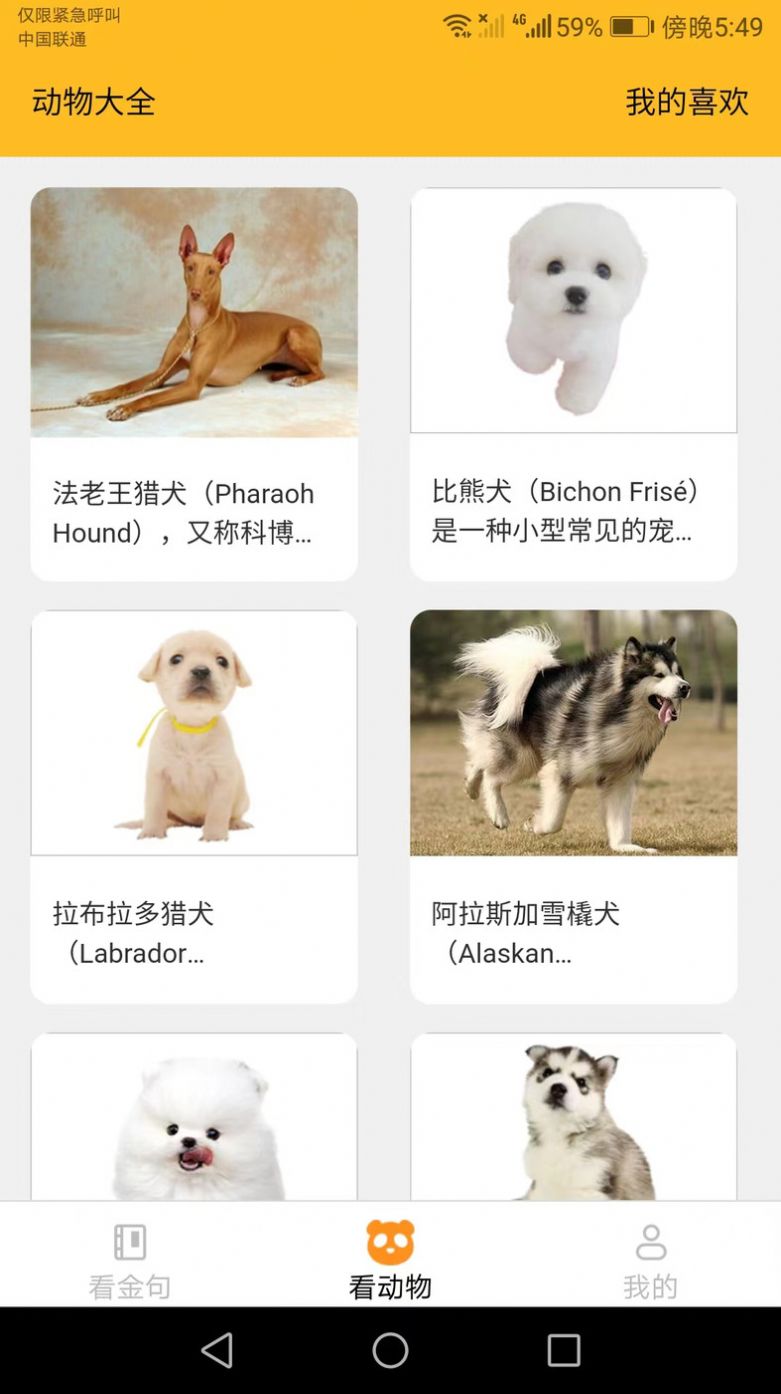 口袋乐看app