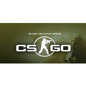 csgo名称标签怎么打中文