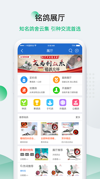 China Homing Pigeon Information Network Mobile Version