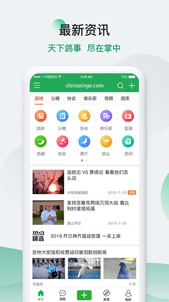 China Homing Pigeon Information Network Mobile Version