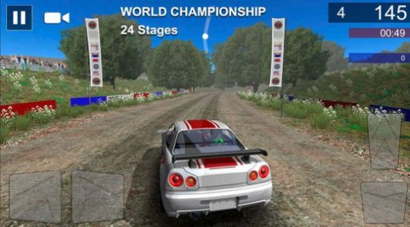 Champion Rally Game