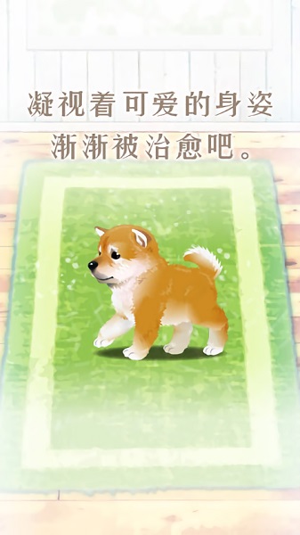 The latest version of the healing game for raising Shiba Inu