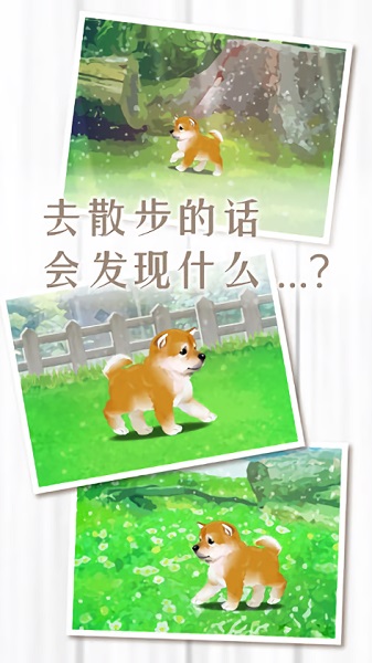 The latest version of the healing game for raising Shiba Inu