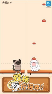 Cat Duo ゲームリンク