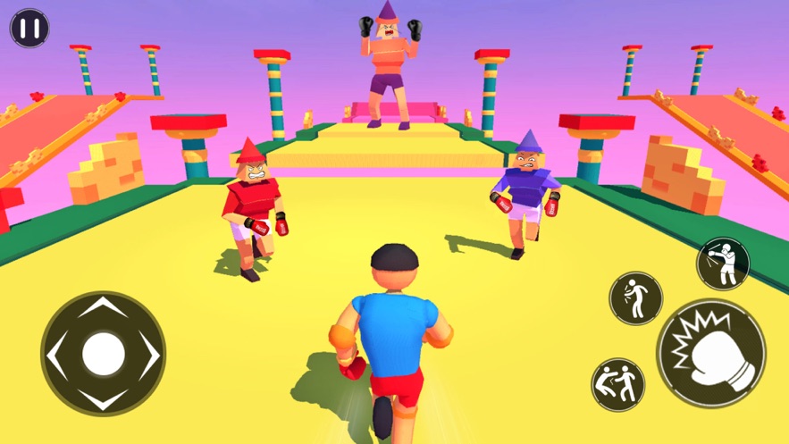 Jogo noturno de boxe Ragdoll