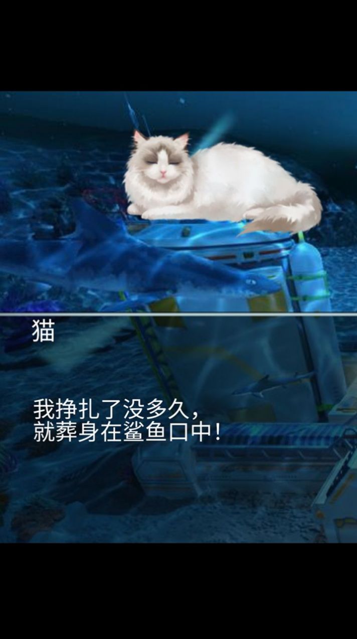 猫生煎熬游戏