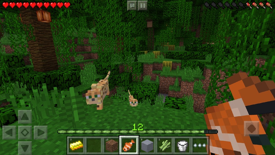 Minecraft 1.13.0.6 mobile version