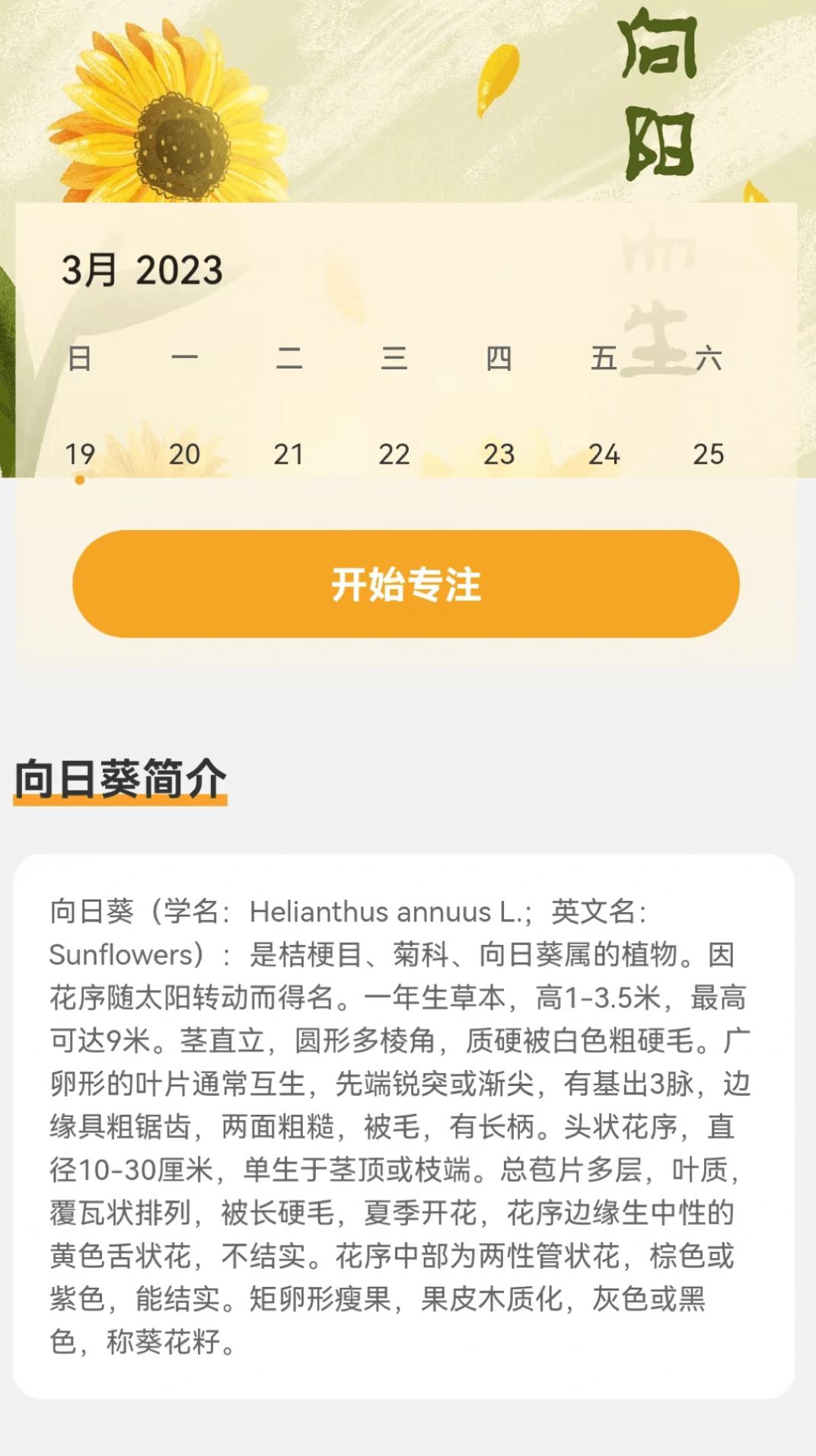 向阳流量app