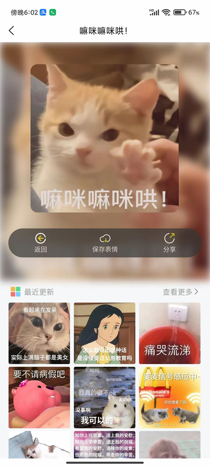 Chenluo app