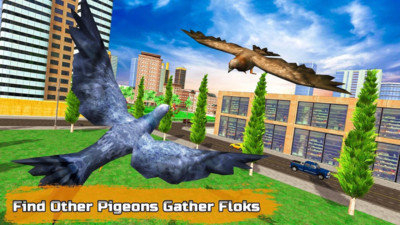 Pigeon Flight Simulator Android version