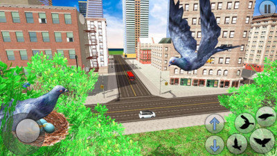 Pigeon Flight Simulator Android version