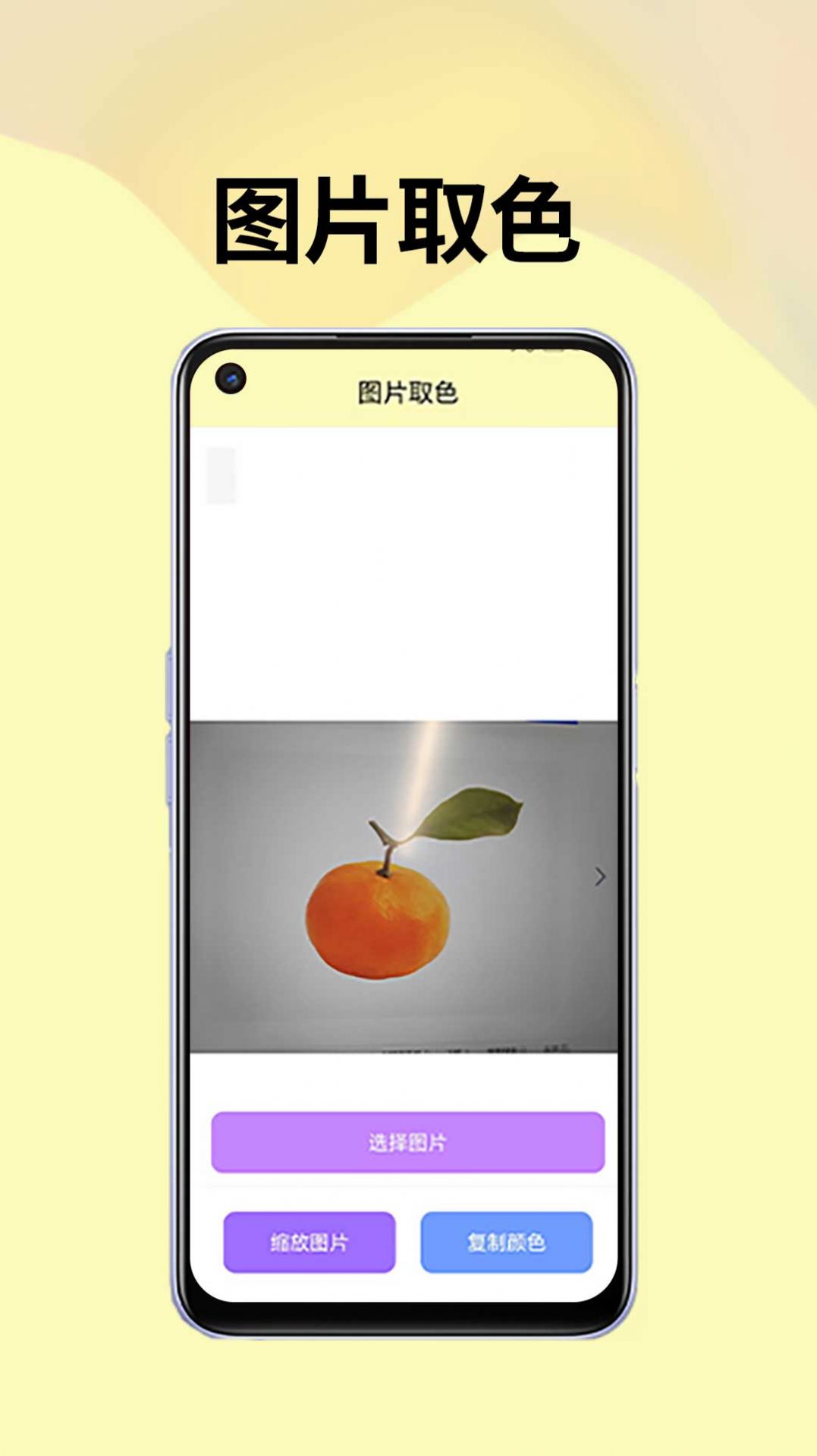 皮皮袋app