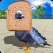 Pigeon Flight Simulator Android version