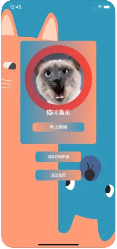 养猫神器助手app