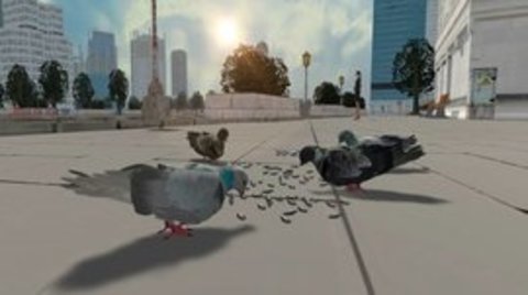 Pigeon Survival Simulator เวอร์ชันมือถือ