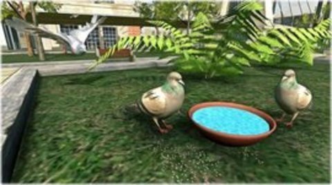 Pigeon Survival Simulator เวอร์ชันมือถือ