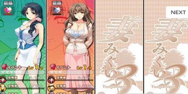 妻中蜜3遊戲