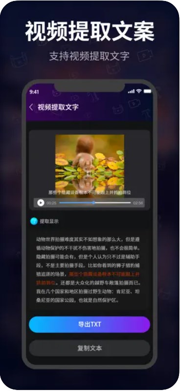 魔法视频加字幕app