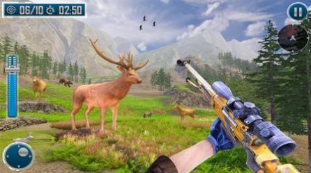 Sniper Shooting Animal Game