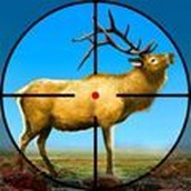 Sniper Shooting Animal Game