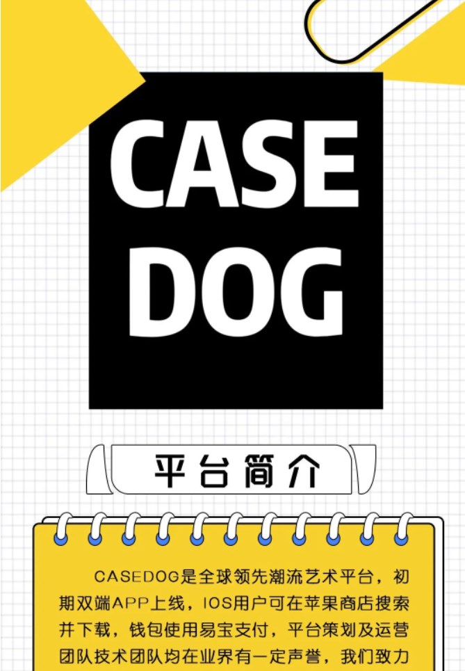 Casedog data storage app