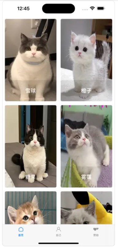 寻猫启示录app