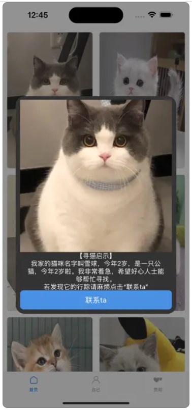 寻猫启示录app