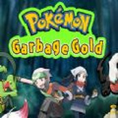 Pokemon Junk Golden chinesische Version