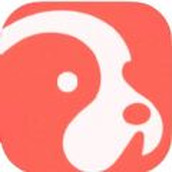 Dog home recording app