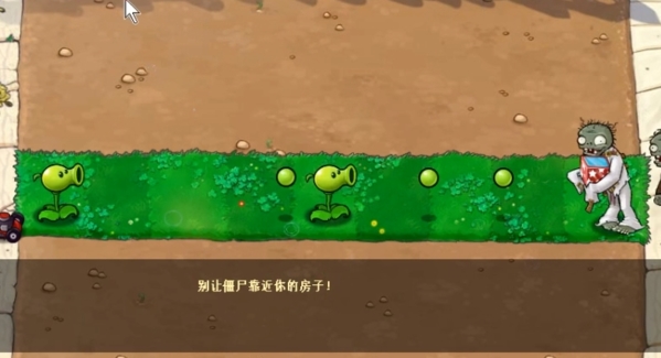 植物大战僵尸e版