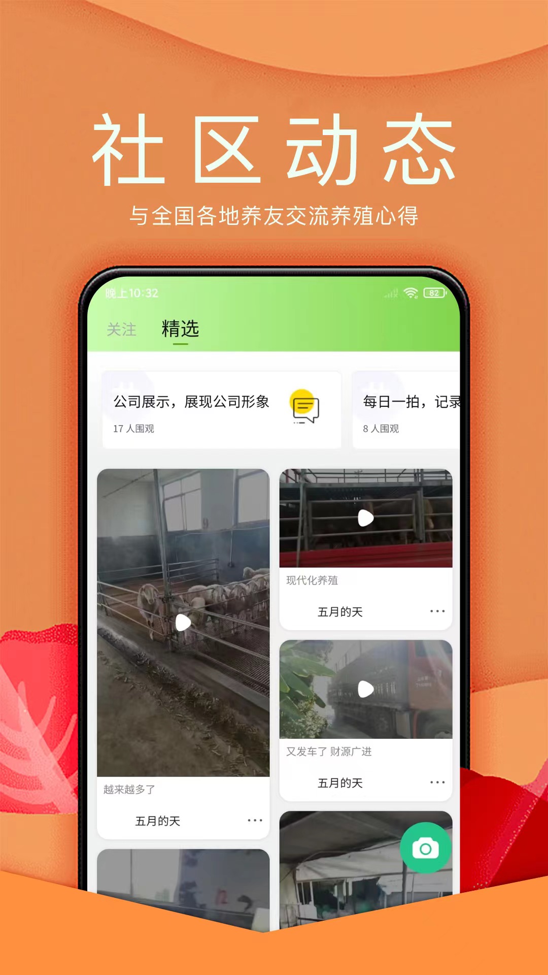 Yang Xiaobao app