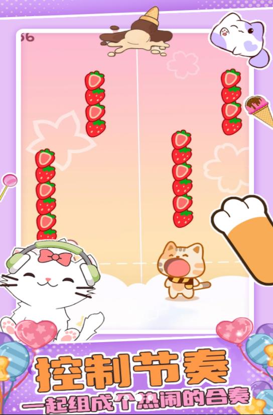 Cute cat rhythm