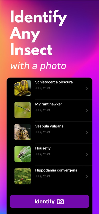 昆虫识别器app