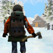 Winter survival game