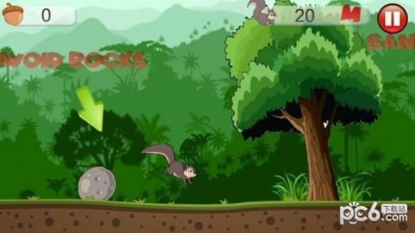 Squirrel Parkour Adventure Game