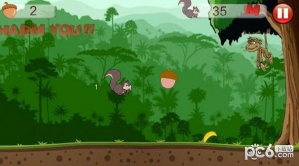 Squirrel Parkour Adventure Game