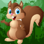 Squirrel Parkour Adventure Game