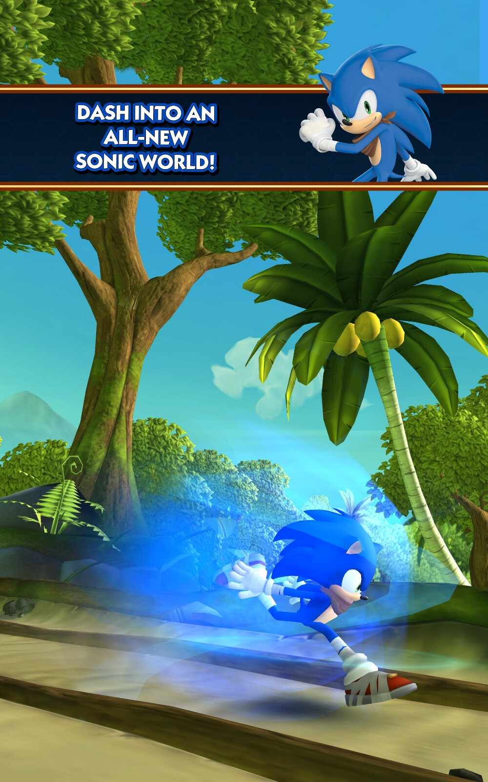 Pacote de instalação do Sonic Dash 2