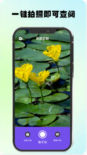 万物识图高手app