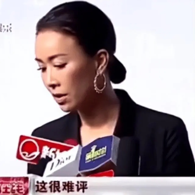 这简直是危言耸听表情包那英