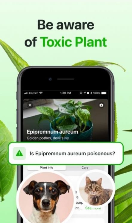 Florae app