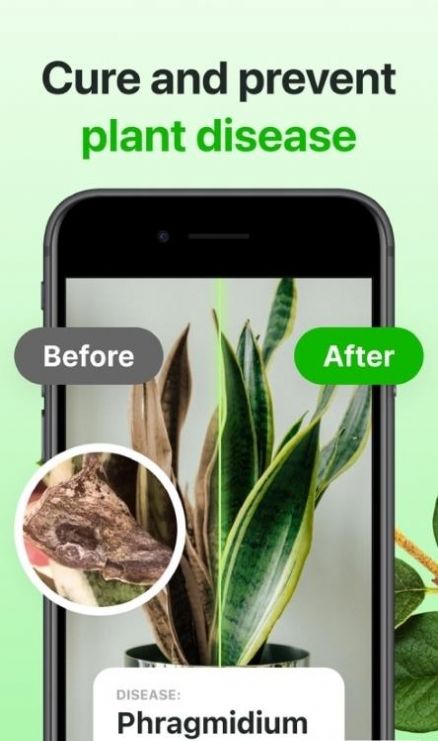 Florae app