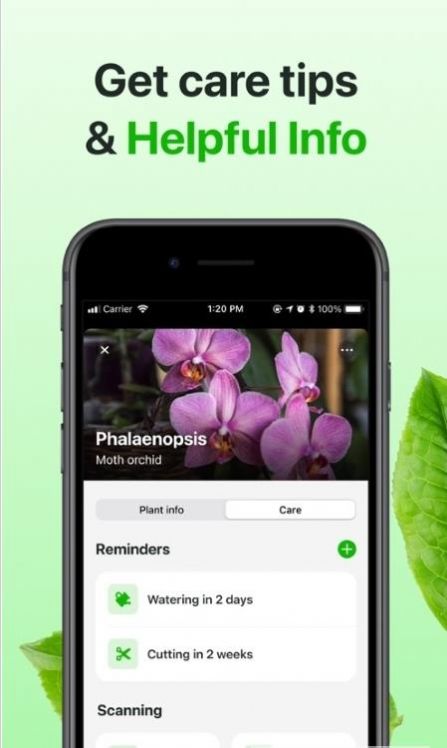 Florae app