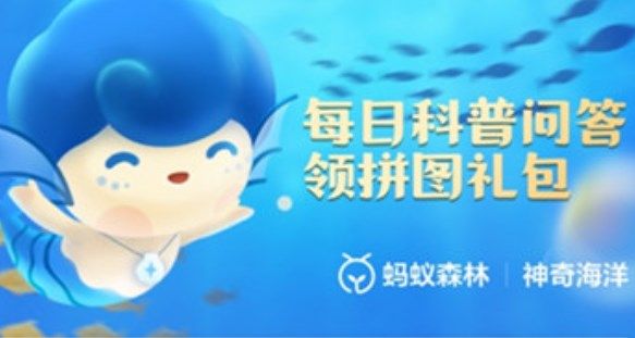 Jawaban terbaru "Alipay" Magic Ocean pada 26 Juli 2023