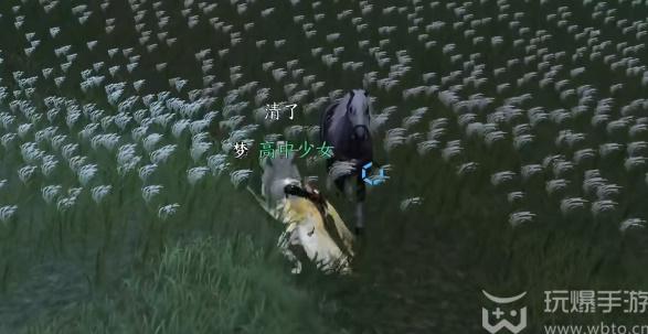 วิธีทำภารกิจของ White Horse เข้าสู่ Reed Flowers ในเกมมือถือ Ni Shui Han