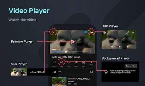 FX player software